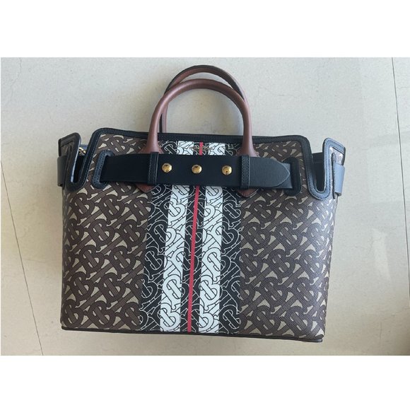 BURBERRY E Canvas Monogram Stripe Small Belt Tote Brown Handbag Bag 8019351 New - Picture 7 of 11